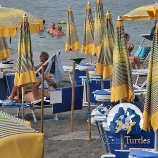 Il nido 2 protetto sulla spiaggia