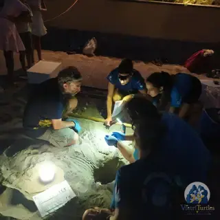 La chiusura del nido 1, 23 agosto 2026