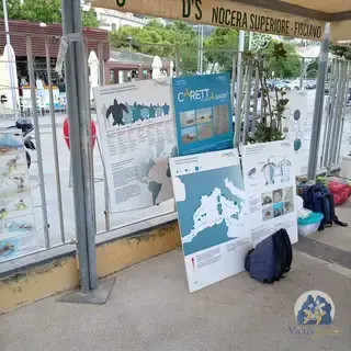 La Scuola del Mare, 7 agosto 2026