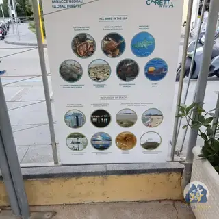 La Scuola del Mare, 7 agosto 2026