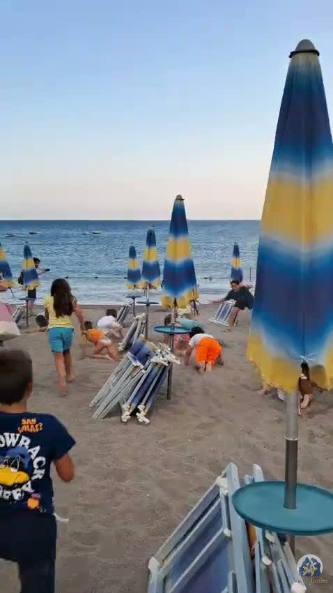 Video, La Scuola del Mare, 7 agosto 2026