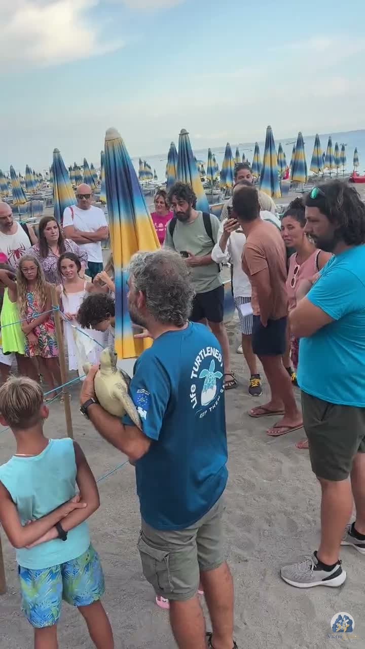 Video, La Scuola del Mare, 7 agosto 2026