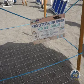 La Scuola del Mare per il nido 2, 29 agosto 2026