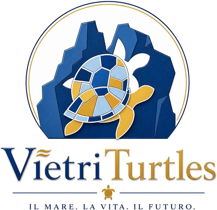 Vietri Turtles · il mare, la vita, il futuro